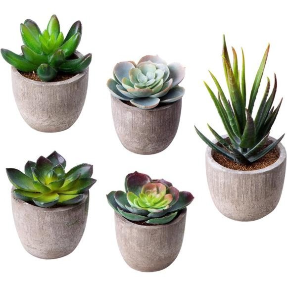 Fake Plants Artificial Succulent Plant Assorted Decorative Faux Succulent Potted - Picture 1 of 7